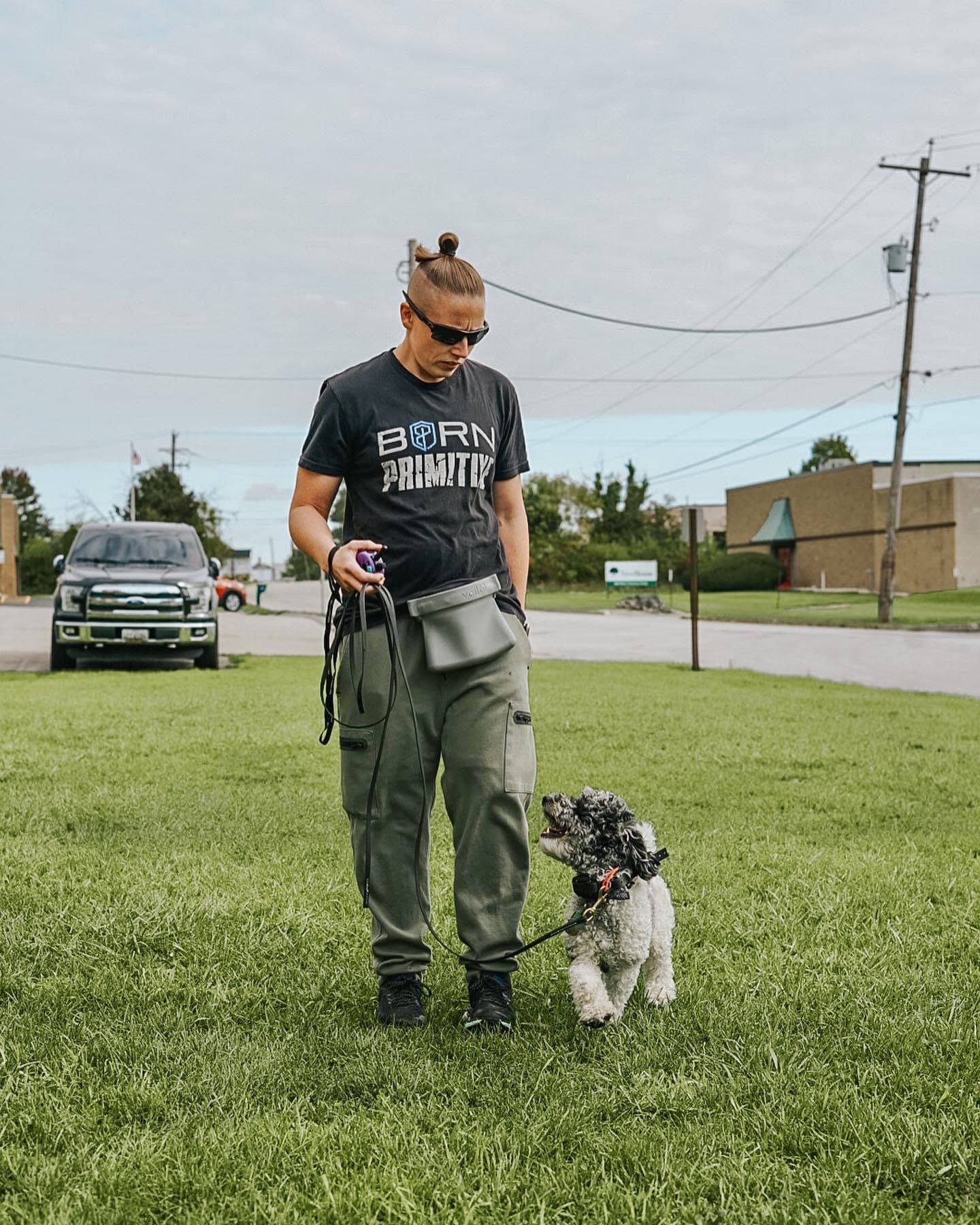 Trainer working with dog during behavior modification