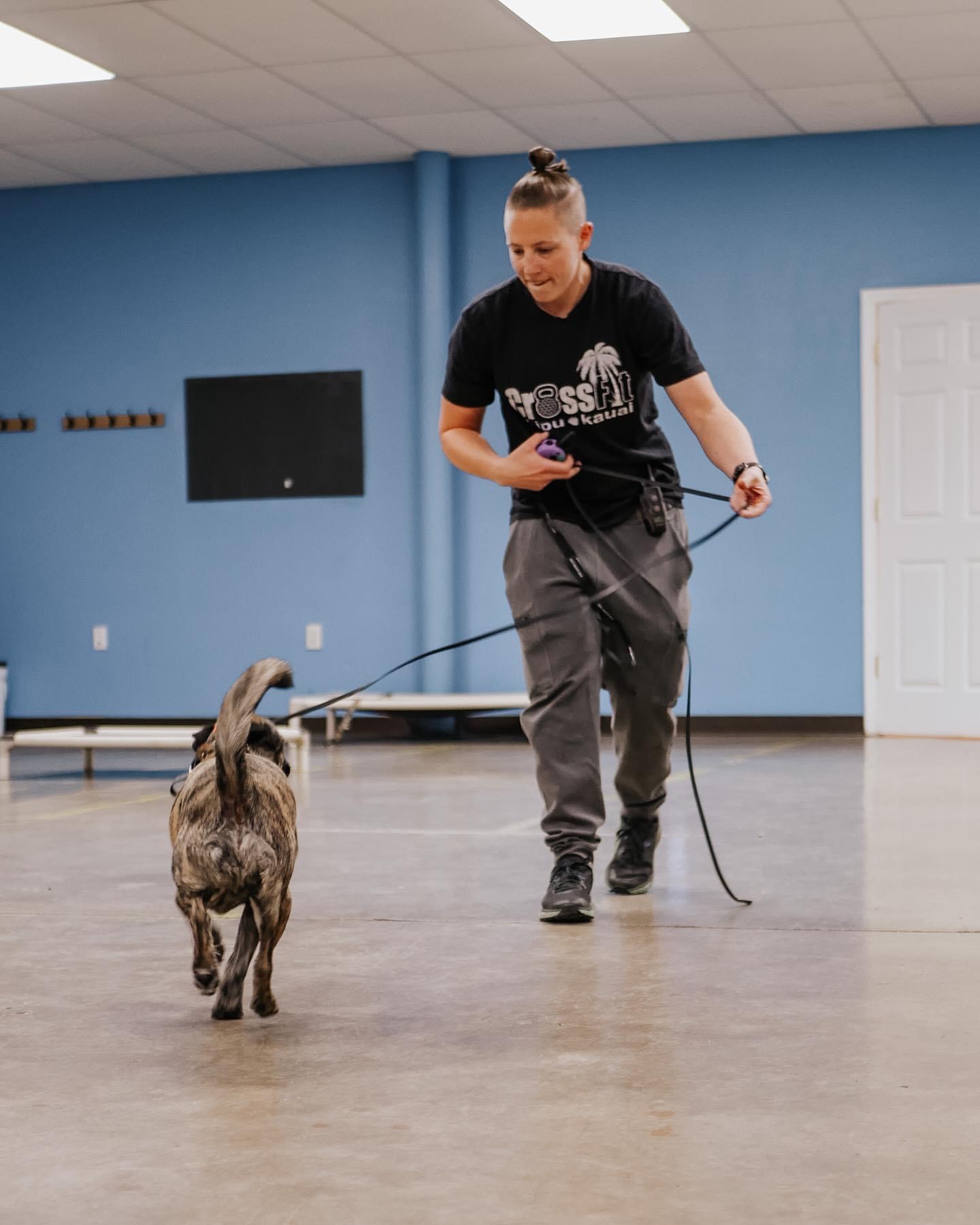 Juliann training a dog